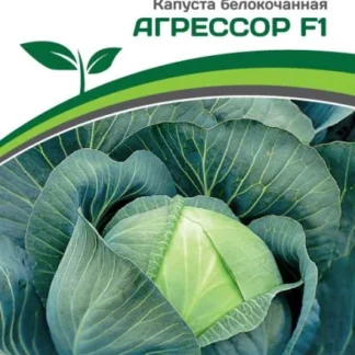 Капуста белокочанная "Агрессор F1". Фасовка - 10 шт.