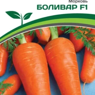 Морковь "Боливар F1". Фасовка - 0,5 гр.