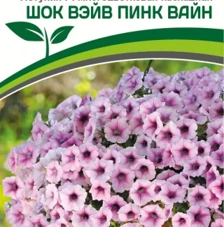 Петуния F1 многоцветковая Шок Вейв Пинк Вайн. Фасовка - 5 шт.