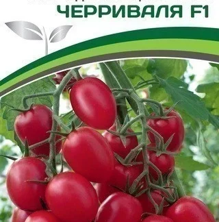 Томат "Черри Валя F1". Фасовка-5 шт.