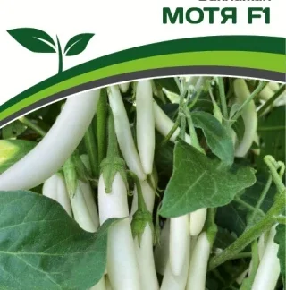 Баклажан "Мотя F". Фасовка - 10 шт.