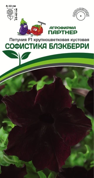 Петуния F1 крупноцветковая кустовая Софистика Блэкберри. Фасовка - 5 шт.