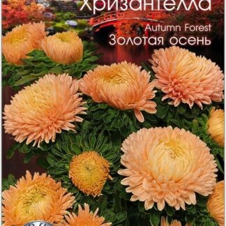 Хризантелла "Золотая Осень". Фасовка-30 шт