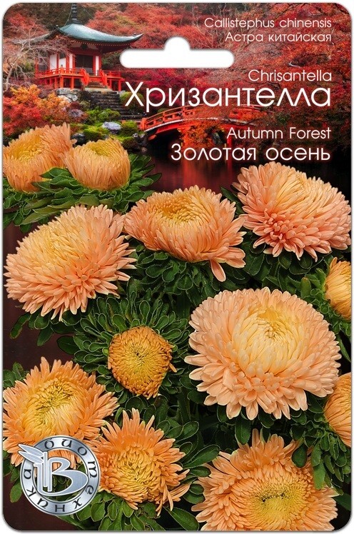 Хризантелла "Золотая Осень". Фасовка-30 шт