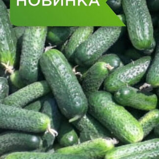 Огурец "Жозефино F1"(Seminis). Фасовка - 5 шт.