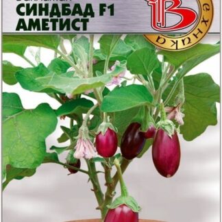 Баклажан "Синдбад Аметист F1" Фасовка - 5 шт.