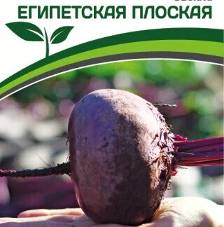 Свекла "Египетская плоская" Фасовка - 3 гр.