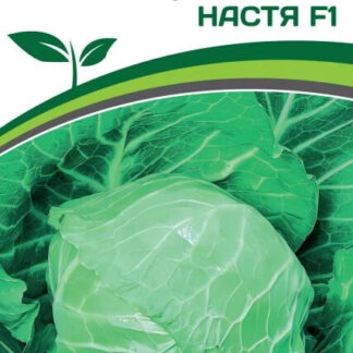 Капуста белокочанная "Настя F1" Фасовка - 0,2 гр.