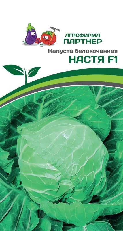 Капуста белокочанная "Настя F1" Фасовка - 0,2 гр.