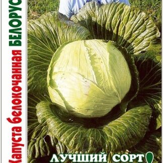 Капуста "Белорусская 455" Фасовка-0,5 гр.