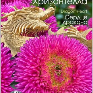 Хризантелла "Сердце Дракона" Фасовка - 30 шт.