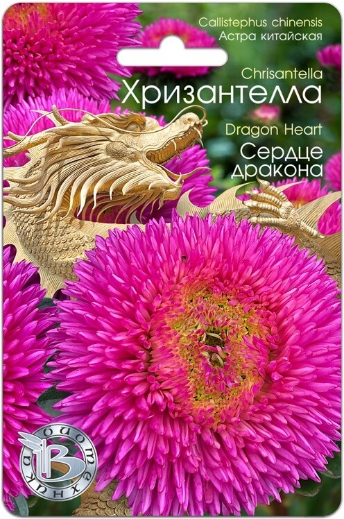 Хризантелла "Сердце Дракона" Фасовка - 30 шт.