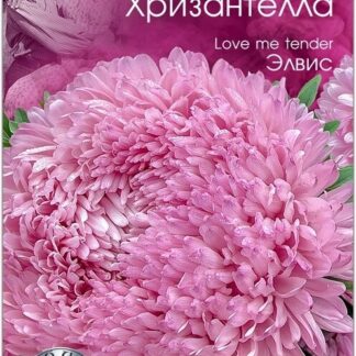 Хризантелла "Элвис". Фасовка-30 шт.