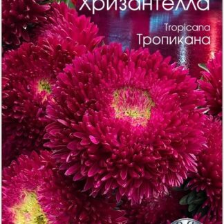 Хризантелла "Тропикана". Фасовка-30 шт.
