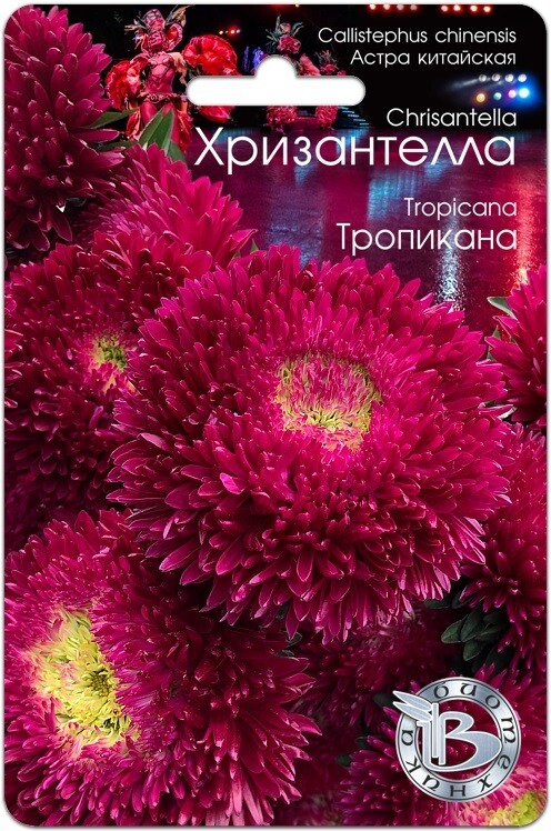 Хризантелла "Тропикана". Фасовка-30 шт.