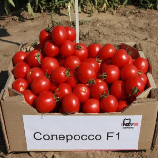 Томат "Солероссо F1" (Nunhems). Фасовка-10 шт.