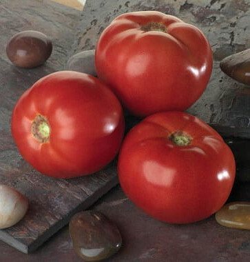 Томат "Белла Росса F1" (Sakata Seeds). Фасовка - 5 шт.