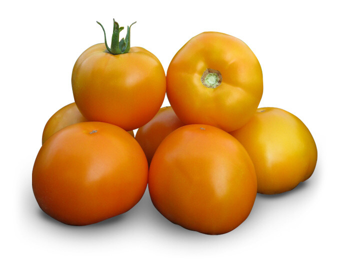 Томат Нукси F1( Kitano Seeds). Фасовка - 5 шт