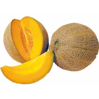 Дыня Айкидо F1 (Sakata Seeds).Фасовка - 5 шт.
