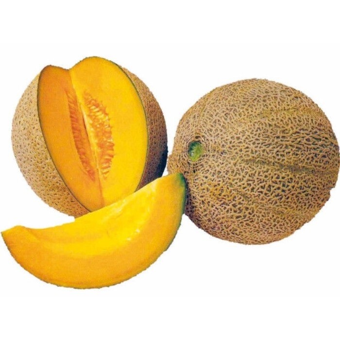 Дыня Айкидо F1 (Sakata Seeds).Фасовка - 5 шт.