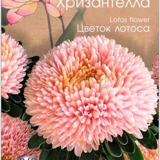 Хризантелла "Цветок Лотоса". Фасовка-30 шт.