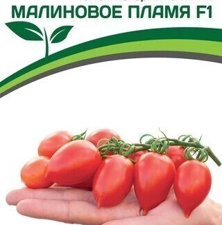 Томат "Малиновое Пламя F1" Фасовка-10 шт.