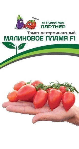Томат "Малиновое Пламя F1" Фасовка-10 шт.