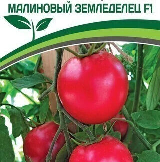 Томат "Малиновый земледелец F1". Фасовка-0,05 гр.