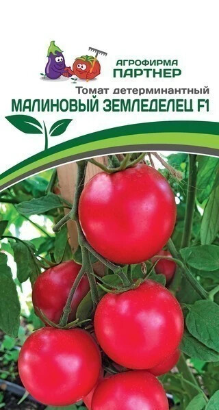 Томат "Малиновый земледелец F1". Фасовка-0,05 гр.