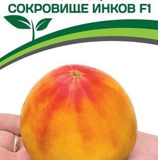 Томат "Сокровище Инков F1". Фасовка-10 шт.