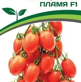 Томат "Пламя F1". Фасовка-10 шт.