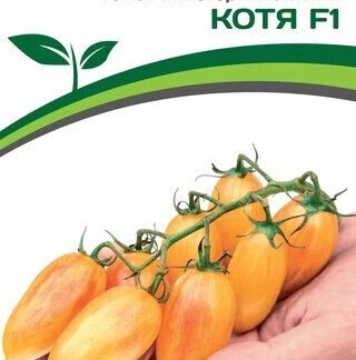 Томат "Котя F1". Фасовка-10 шт.