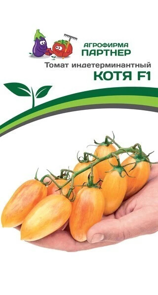 Томат "Котя F1". Фасовка-10 шт.