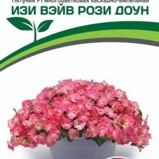 Петуния Изи Вейв "Рози Доун". Фасовка - 5 шт.