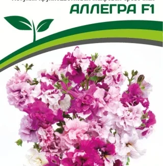 Петуния "Аллегра F1". Фасовка - 5 шт.