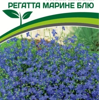 Лобелия ампельная "Регатта Марине Блю". Фасовка - 10 шт.