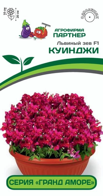 Львиный зев серия "Гранд Аморе" Куинджи. Фасовка - 10 шт.