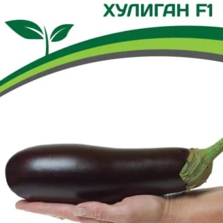 Баклажан "Хулиган F1". Фасовка - 10 шт.