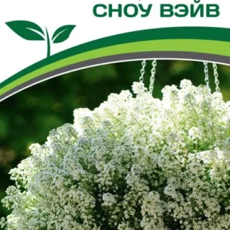 Алиссум ампельный "Сноу Вейв". Фасовка - 10 шт.