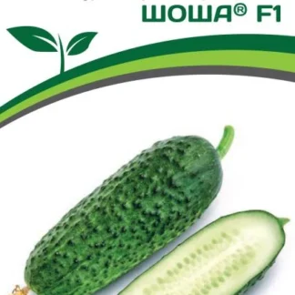 Огурец "Шоша F1". Фасовка - 5 шт.