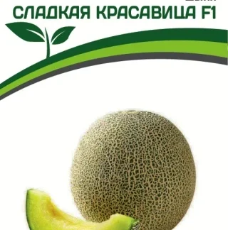 Дыня "Сладкая красавица F1". Фасовка - 5 шт.