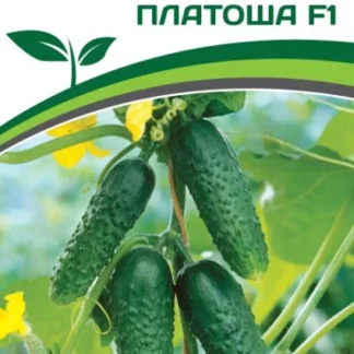 Огурец "Платоша F1". Фасовка - 5 шт.