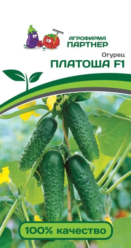Огурец "Платоша F1". Фасовка - 5 шт.