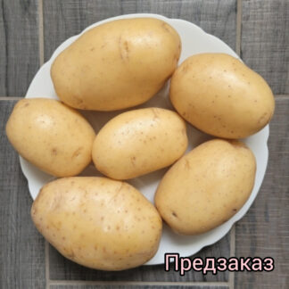 Картофель "Коломбо". Фасовка-3 кг.