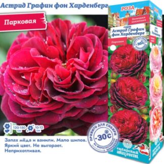 Астрид Графин фон Харденберг (Парковая).