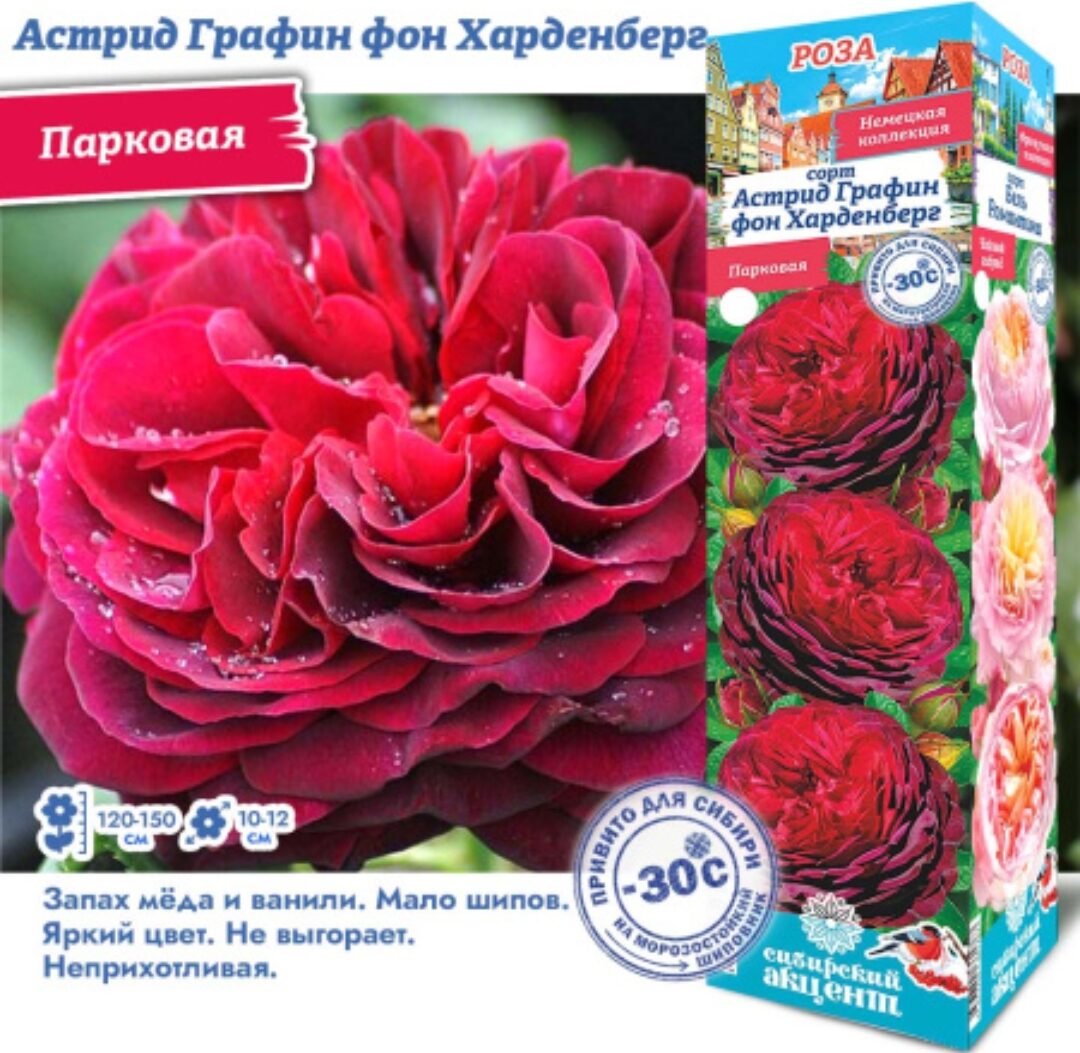 Астрид Графин фон Харденберг (Парковая).