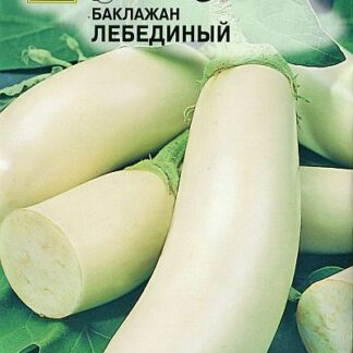 Семена баклажана "Лебединый". Фасовка-0,5 гр.