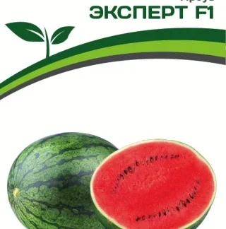 Арбуз "Эксперт F1". Фасовка - 5 шт.