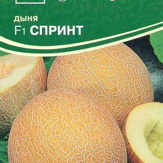 Семена дыни "Спринт F1". В пакетике-5 шт.