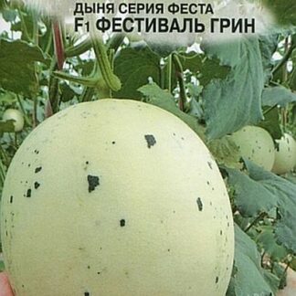 Семена дыни "Фестиваль Грин F1". В пакетике-5 шт.